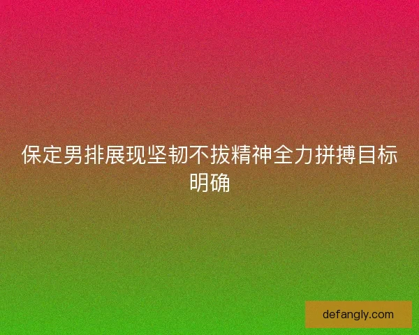 保定男排展现坚韧不拔精神全力拼搏目标明确